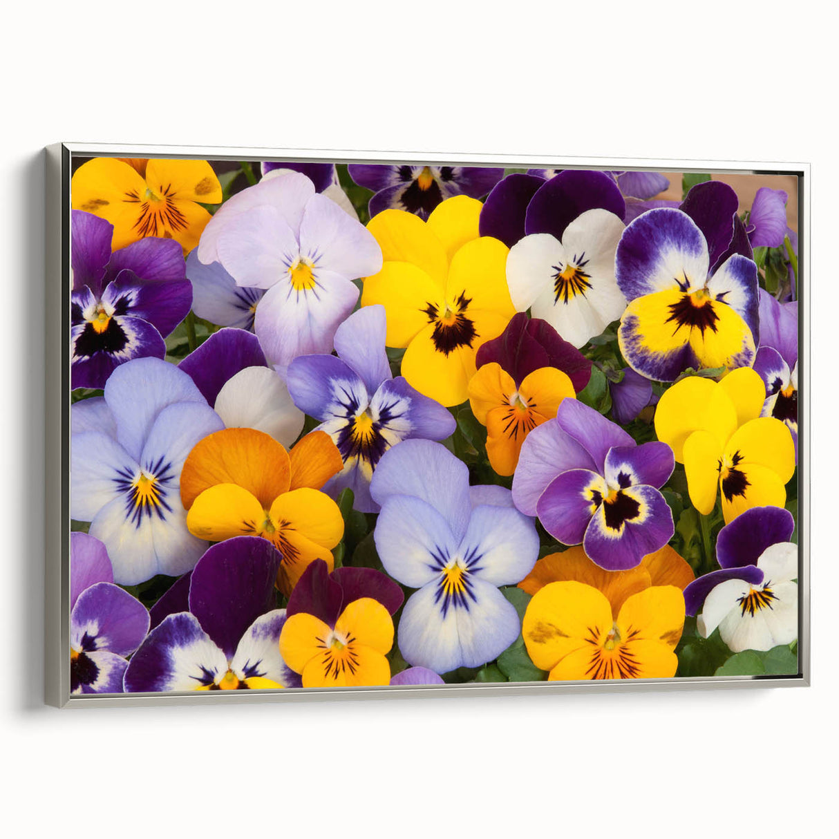 Framed canvas wall art featuring a botanical design of vibrant pansies in silver frame, showcasing intricate floral details and elegant home décor style.