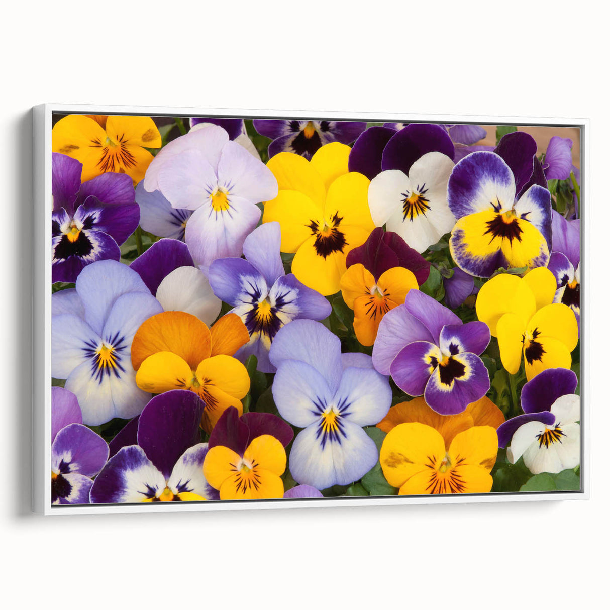 Framed wall art featuring a botanical pansy design in vibrant colors, showcasing a side view against a white background, perfect for home decor accents.