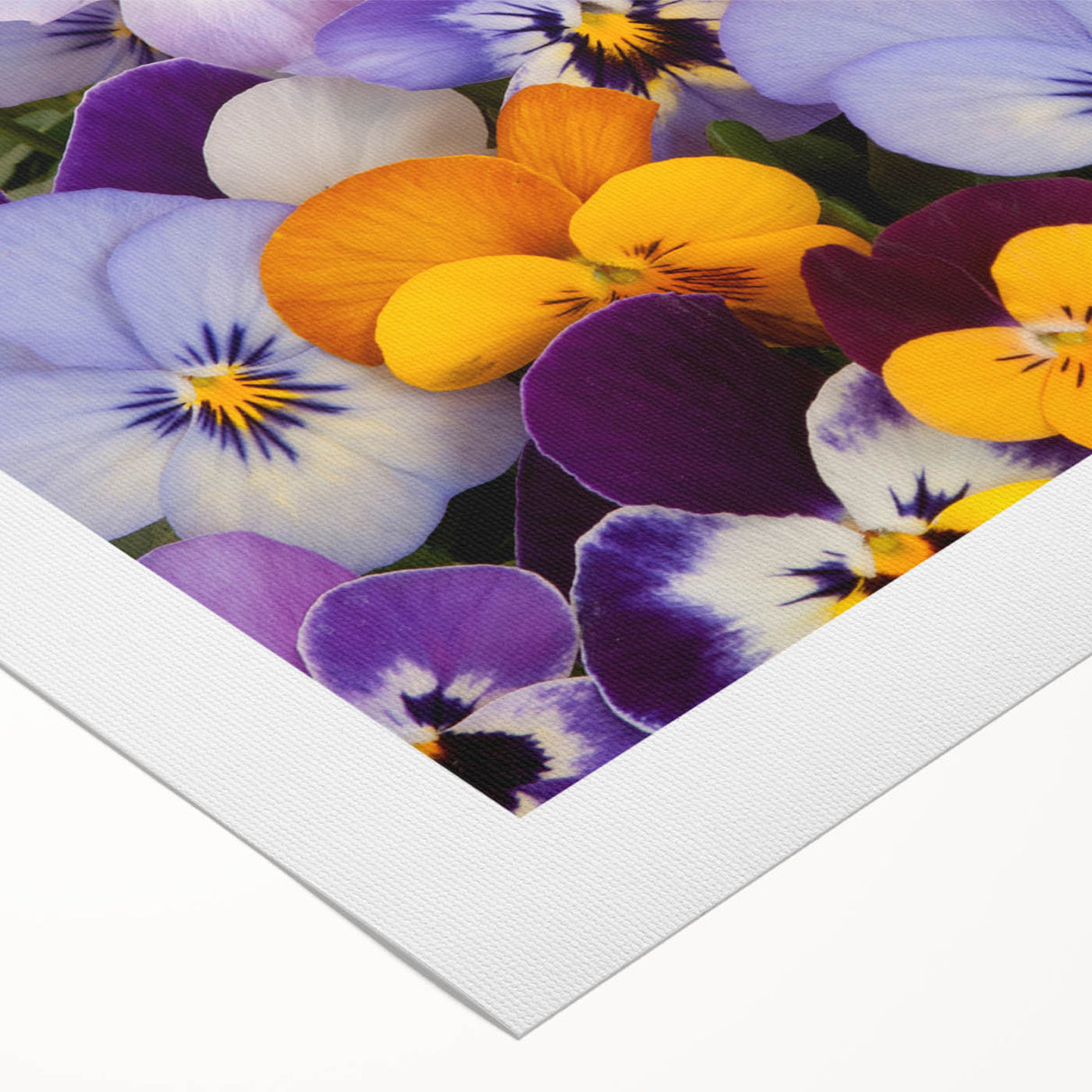 Vibrant floral wall art featuring a botanical pansy design on rolled canvas, showcasing rich colors and intricate details, perfect for home decor.