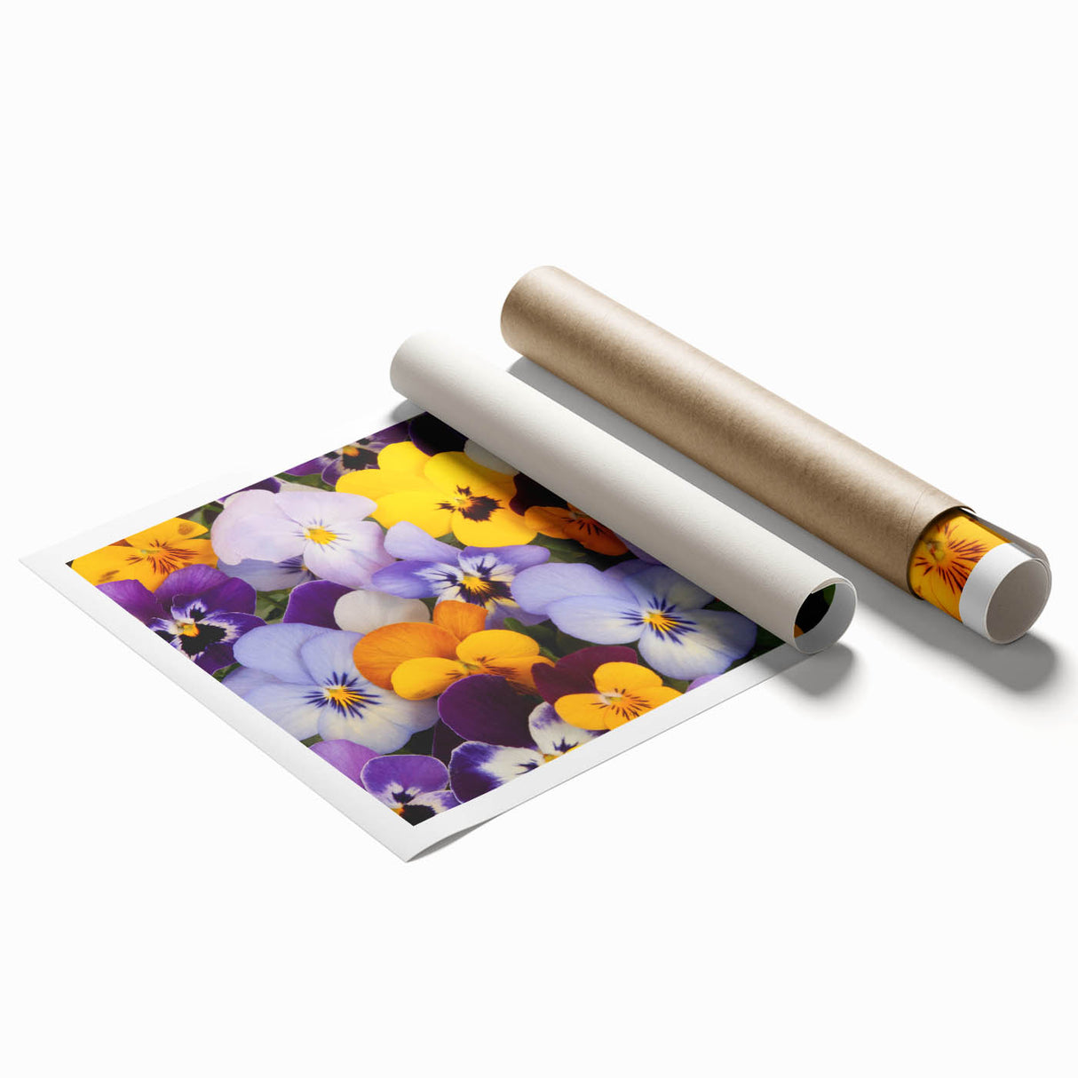 Botanical wall art print featuring a vibrant pansy design in shades of purple and yellow, rolled and ready for framing, perfect for home decor enthusiasts.