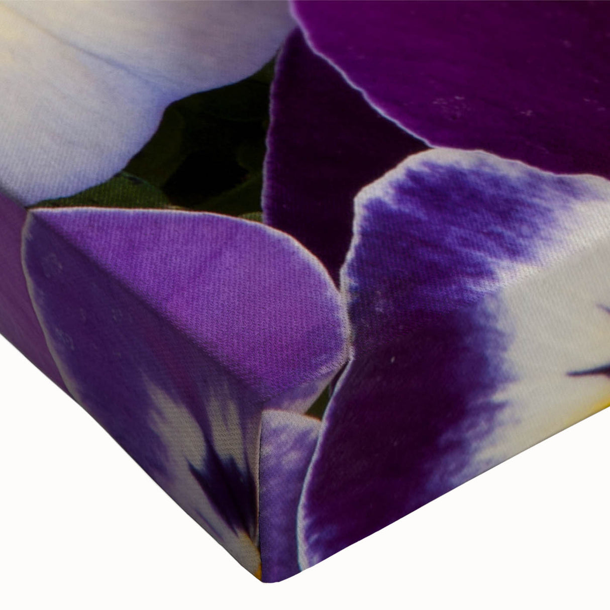 Close-up of a botanical wall art piece featuring vibrant pansy flowers on stretched canvas, showcasing intricate details and rich colors, ideal for home decor.