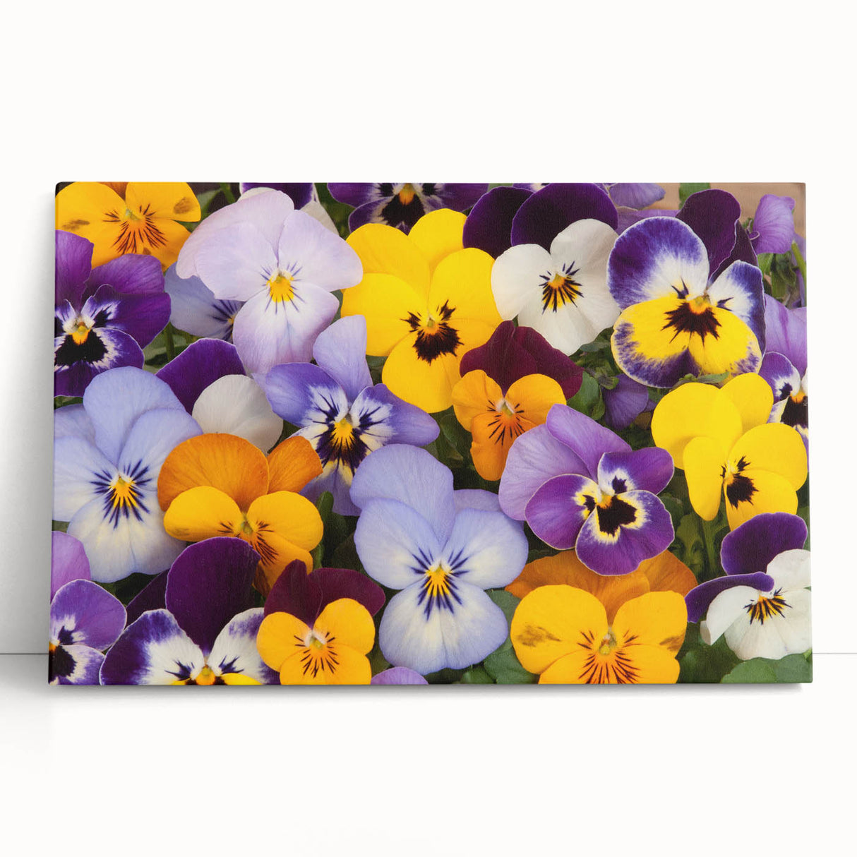 Vibrant botanical wall art featuring a detailed pansy design on stretched canvas, showcasing rich colors and intricate floral patterns, perfect for home decor.