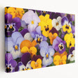 Stretched canvas wall art showcasing a botanical pansy design with vibrant colors and fine detailing, ideal for enhancing home decor and adding a touch of nature.
