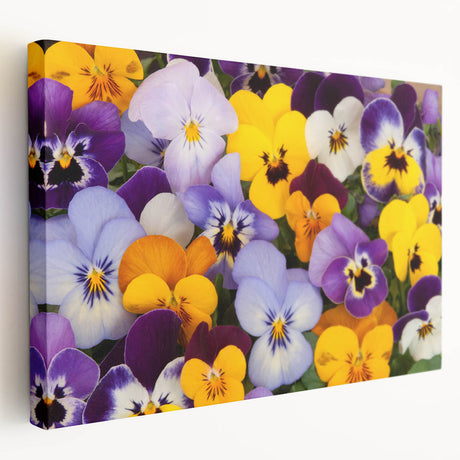 Stretched canvas wall art showcasing a botanical pansy design with vibrant colors and fine detailing, ideal for enhancing home decor and adding a touch of nature.