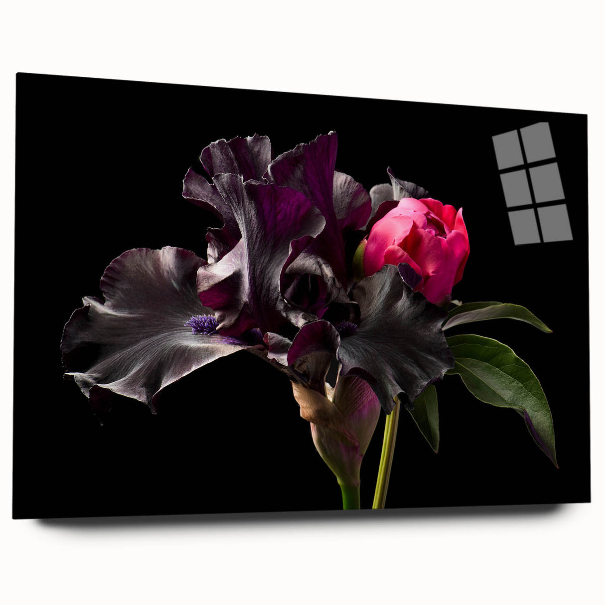 Acrylic wall art featuring a botanical peony design in soft pink and white hues, elegantly displayed from a side view, showcasing its sleek finish and lack of pins. This artwork enhances modern decor with its floral elegance and vibrant colors.