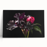 Botanical wall art featuring a vibrant peony design on stretched canvas, showcasing rich pink and green hues, perfect for home decor and floral enthusiasts.