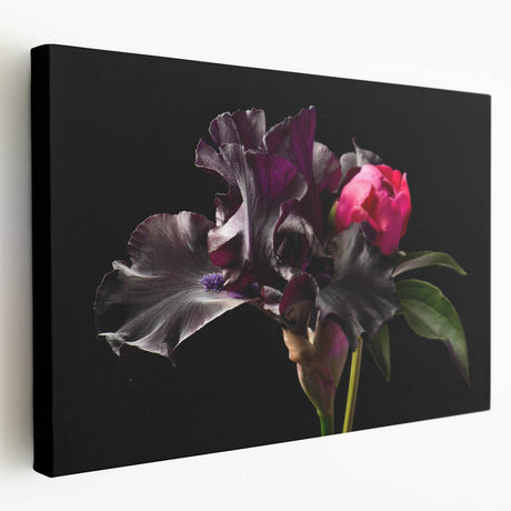Stretched canvas wall art showcasing a vibrant botanical peony design, featuring rich colors and intricate floral details, ideal for home decor enhancement.