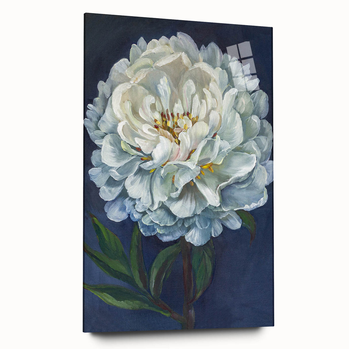 Elegant botanical peony wall art design displayed in acrylic glass, highlighting soft pink and white flowers with intricate details, perfect for home décor.