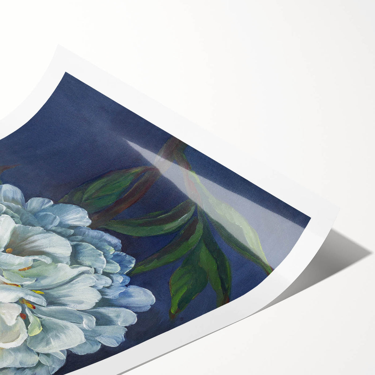 Elegant botanical peony wall art print showcasing vibrant pink and white blossoms on a soft green background, perfect for home decor and floral enthusiasts.