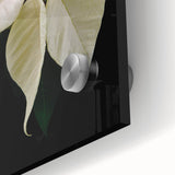 Close-up of a botanical poinsettia wall art piece, showcasing vibrant red and green colors on high-quality acrylic glass, perfect for home decor lovers.