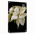 Acrylic glass wall art showcasing a botanical poinsettia design, highlighting vibrant colors and intricate details, displayed in a side view with decorative pins.