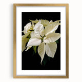 Botanical wall art featuring a vibrant poinsettia design in a gold frame with a mat, showcasing intricate floral details and elegant aesthetics for modern decor.