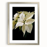 Framed botanical wall art featuring a vibrant poinsettia design, elegantly matted and presented in a sleek silver frame, perfect for holiday decor and floral enthusiasts.