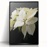 Framed acrylic wall art showcasing a botanical poinsettia design with vibrant red and green hues, set against a sleek black frame, ideal for holiday decor.