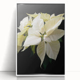 Framed botanical wall art featuring a vibrant poinsettia design in rich red and green hues, displayed in a sleek white frame, suitable for modern decor.