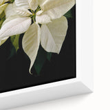 Close-up of a framed canvas wall art depicting a botanical poinsettia design, showcasing vibrant red petals and lush green leaves, perfect for holiday decor.