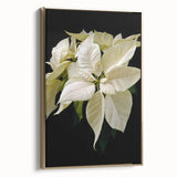 Framed botanical wall art featuring a vibrant poinsettia design on a gold background, showcasing intricate floral details and elegant framing, ideal for home decor.