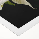 Vibrant rolled canvas art showcasing a detailed botanical poinsettia design, perfect for home decor, featuring rich colors and intricate floral patterns.