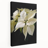 Stretched canvas wall art showcasing a vibrant botanical poinsettia design with rich red and green colors, ideal for adding a festive touch to home decor.