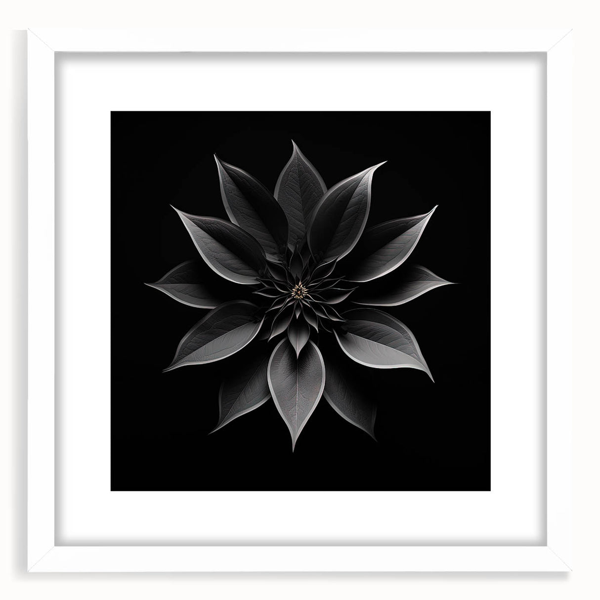 Elegant botanical poinsettia wall art framed with a white mat, showcasing vibrant floral designs, ideal for home decor and seasonal decoration.