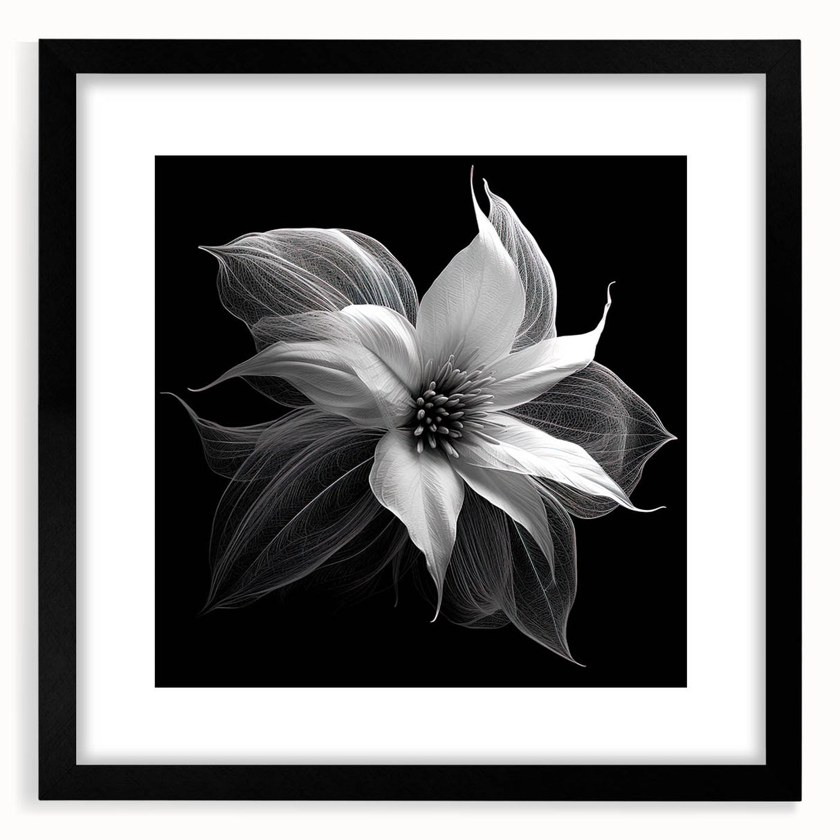Botanical poinsettia wall art design framed in black, showcasing vibrant red and green colors with a matte finish, perfect for holiday decor or floral-themed interiors.