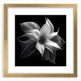 Botanical wall art featuring a beautifully designed poinsettia in a gold frame with a mat, perfect for adding a touch of elegance to home decor. This vibrant piece showcases intricate floral details and rich colors, ideal for nature lovers and art enthusiasts.