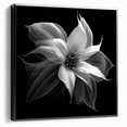 Framed canvas artwork showcasing a botanical poinsettia design in vibrant colors, set against a sleek black frame, ideal for home decor and floral enthusiasts.