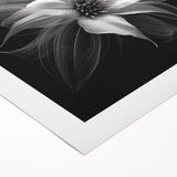 Botanical wall art print showcasing a vibrant poinsettia design on rolled canvas, perfect for home decor, featuring rich red and green colors ideal for festive settings.