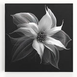 Vibrant stretched canvas wall art featuring a botanical poinsettia design in rich reds and greens, ideal for home decor and nature-inspired aesthetics.