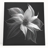 Stretched canvas wall art featuring a vibrant botanical poinsettia design, showcasing rich colors and intricate floral details, ideal for home decor enhancement.