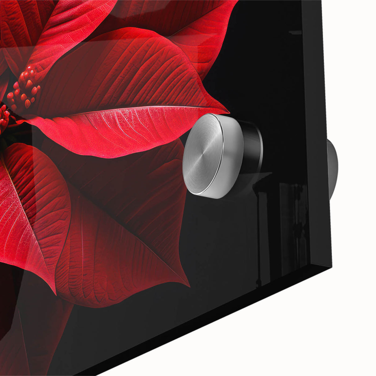 Close-up of a vibrant red poinsettia floral design on acrylic glass, showcasing intricate botanical details and textures, perfect for festive home decor.