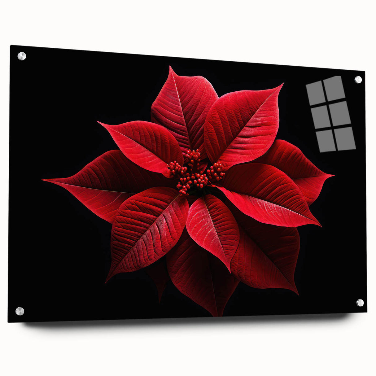 Side view of a botanical poinsettia wall art piece encased in acrylic glass, showcasing vibrant red and green floral details, designed for stylish decor.