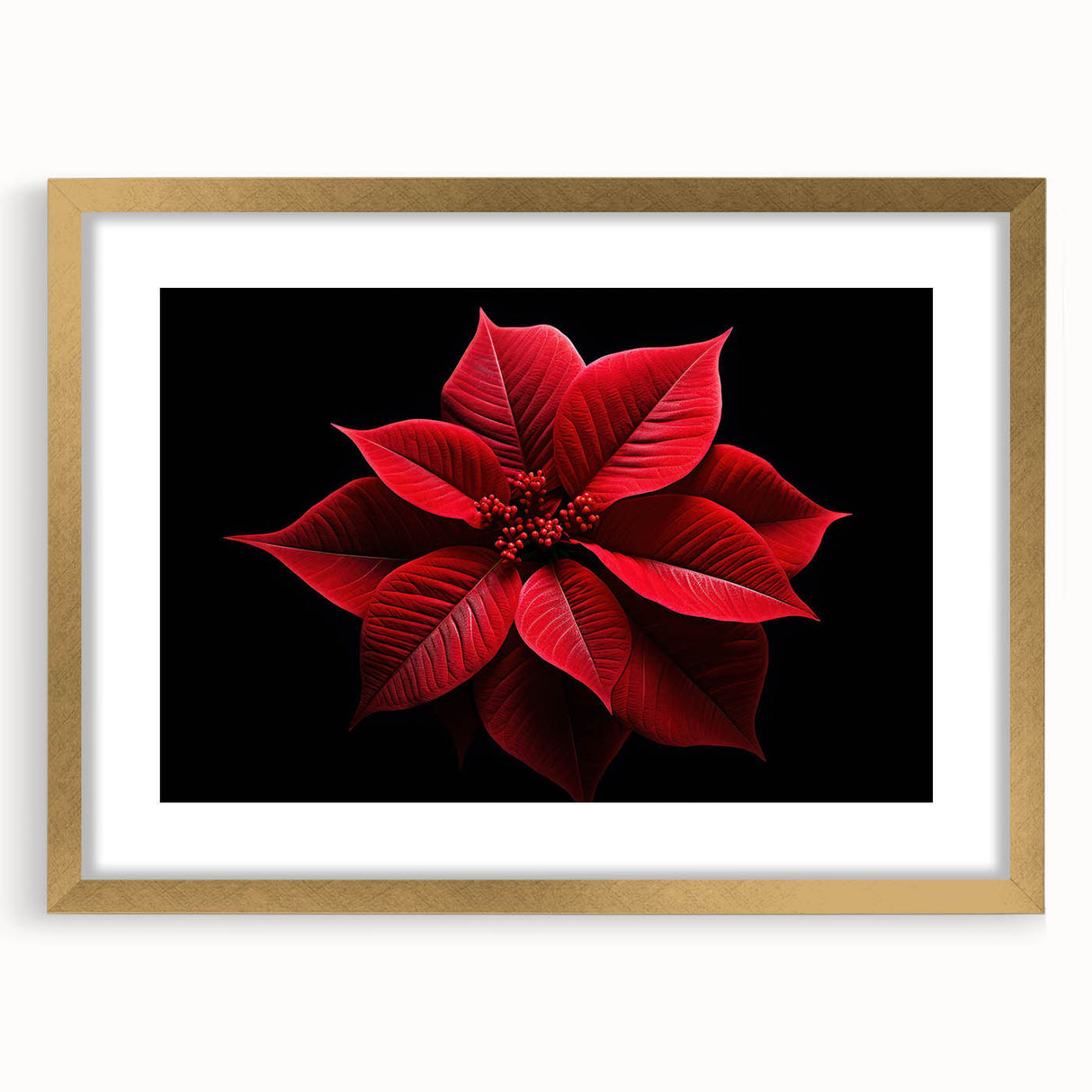 Botanical wall art featuring a stunning poinsettia design in a gold frame with matting, perfect for home decor. The artwork showcases vibrant colors and intricate details, ideal for adding elegance to any room.