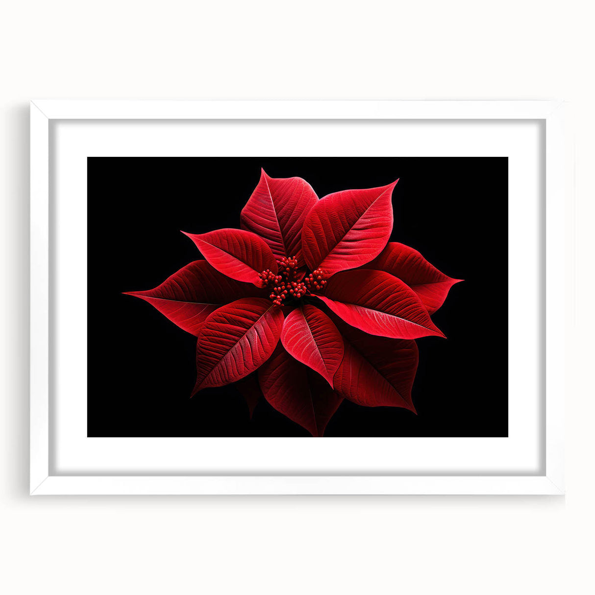 Botanical wall art featuring a beautifully designed poinsettia illustration, framed in white with a mat, showcasing vibrant colors and intricate details, perfect for home decor.