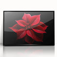Framed botanical wall art featuring a vibrant poinsettia design, set in a sleek black frame with an acrylic front, perfect for holiday decor.