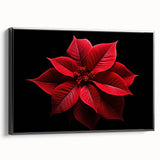 Framed black canvas wall art featuring a botanical poinsettia design, showcasing vibrant colors and intricate details in a stylish side view presentation.