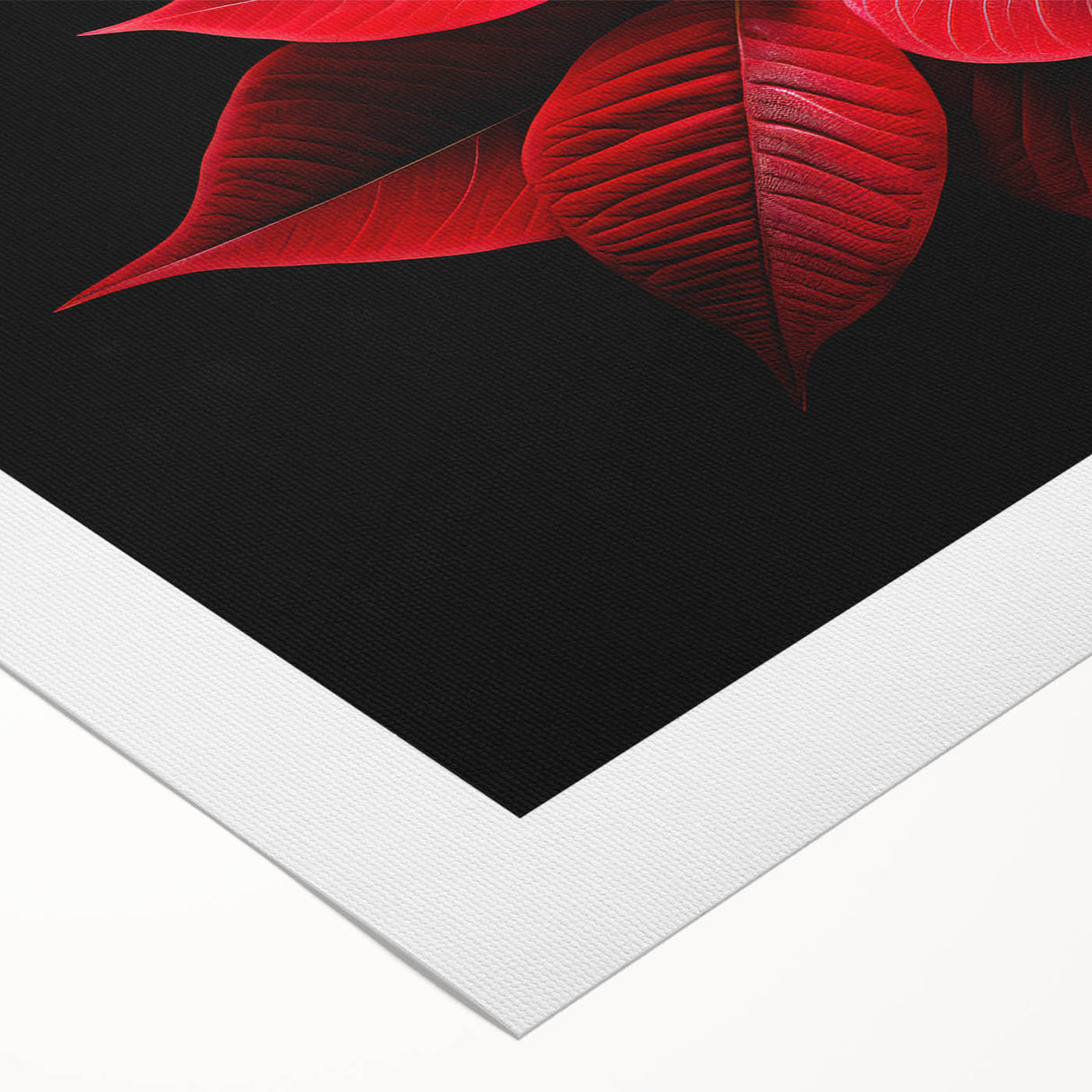 Vibrant botanical wall art featuring a detailed poinsettia design, printed on rolled canvas with rich colors, ideal for festive home decor in any setting.