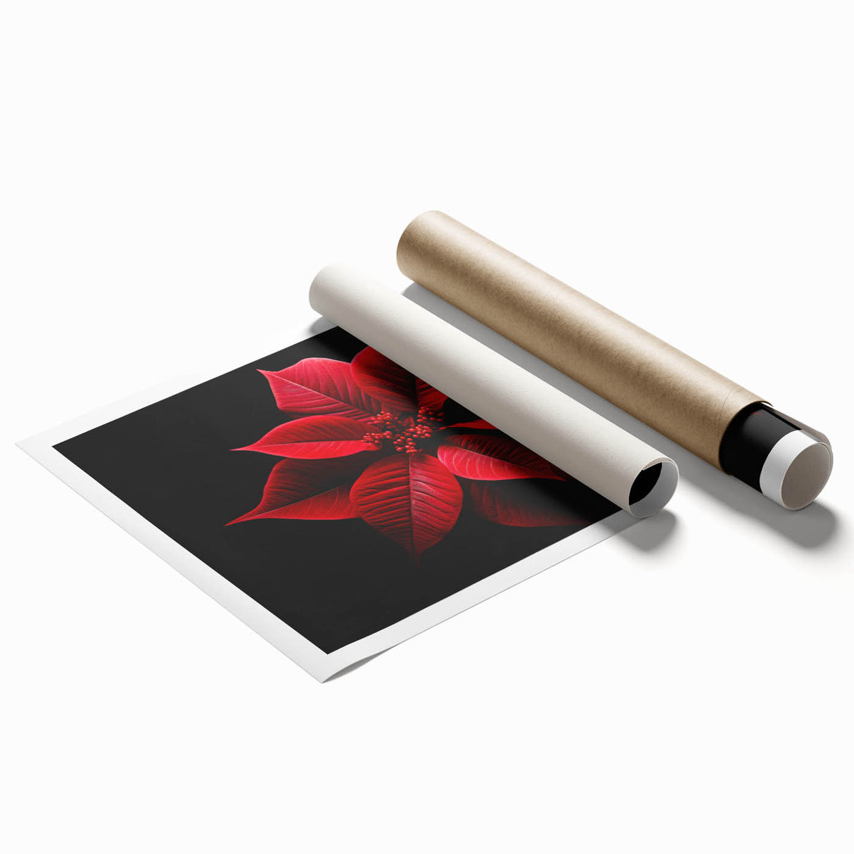 Rolled print of a vibrant botanical design featuring a detailed poinsettia illustration, showcasing rich colors and intricate textures, perfect for home decor.