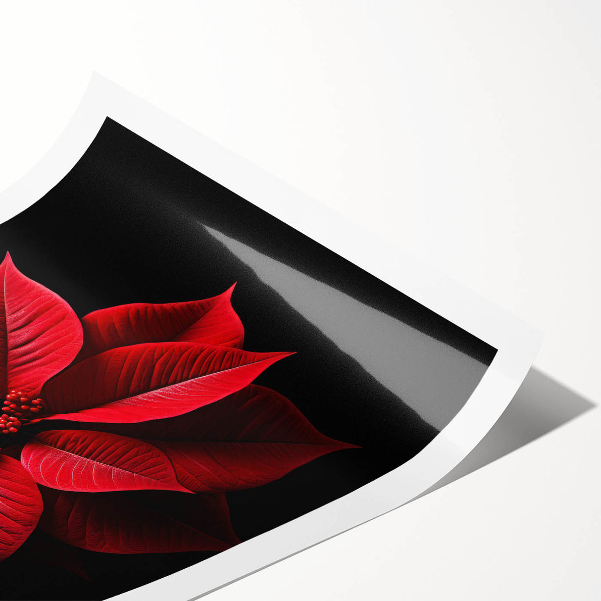 Vibrant botanical wall art print featuring a detailed poinsettia design, showcasing rich red and green colors, rolled and ready for display in a stylish home decor setting.