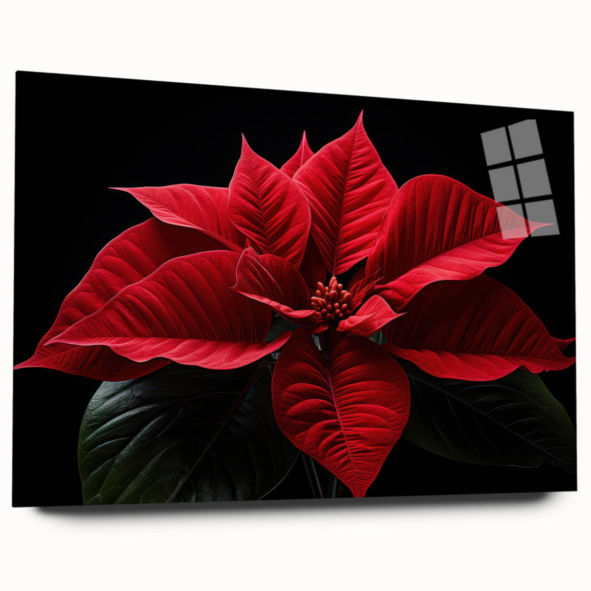 Acrylic glass wall art showcasing a botanical poinsettia design, displayed from the side without pins, featuring vibrant colors and intricate details. Ideal for home decor.