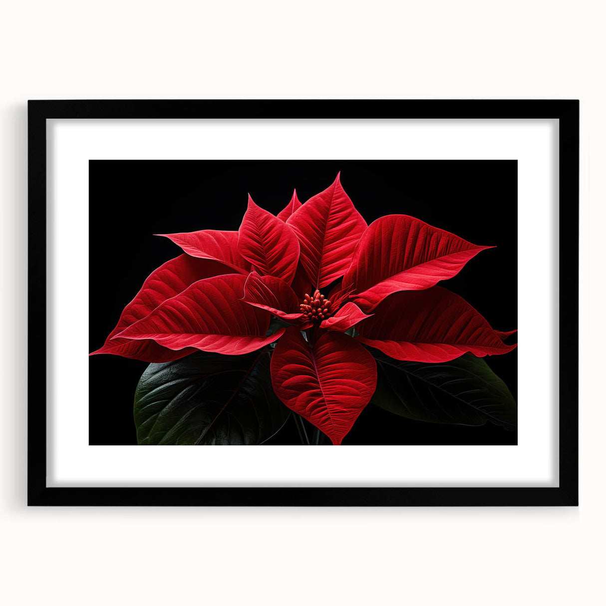 Black-framed wall art featuring a botanical poinsettia design, elegantly matted, showcasing vibrant red and green colors, perfect for holiday decor or floral-themed spaces.