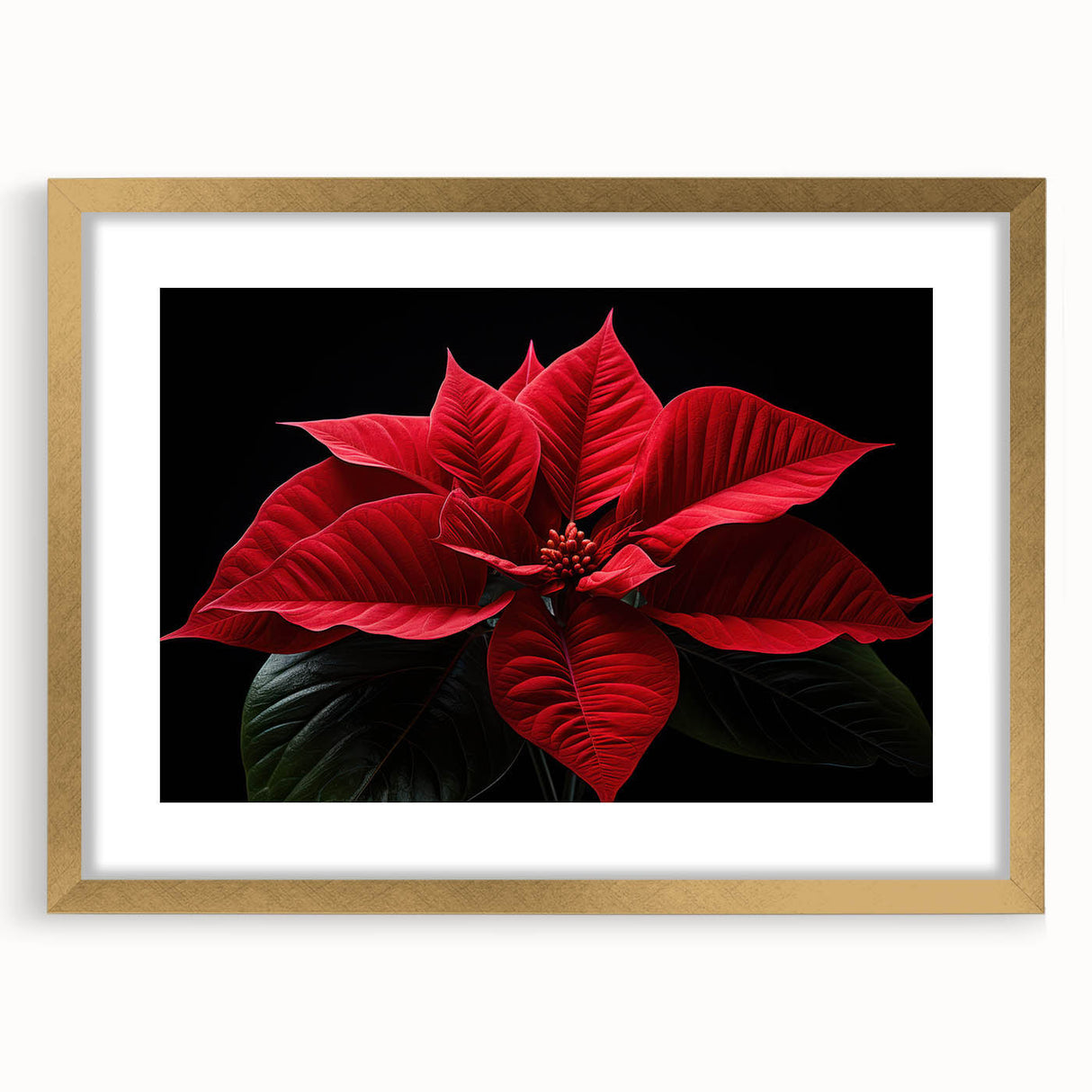 Botanical poinsettia wall art design in a gold frame with matting, showcasing intricate floral details and vibrant colors, perfect for home decor.