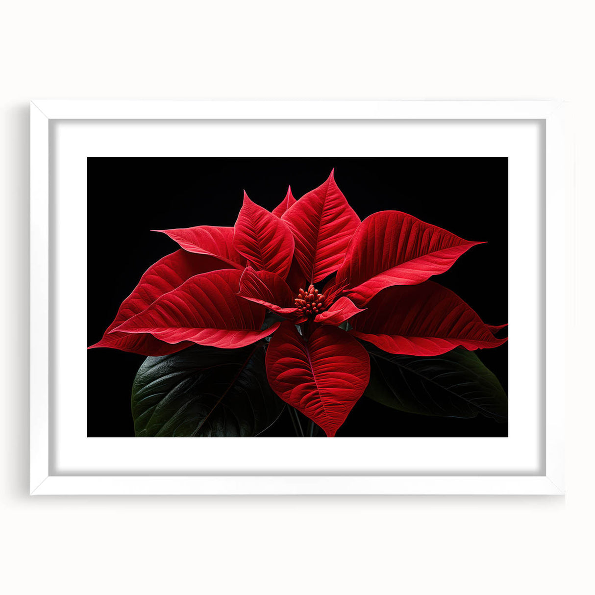 Botanical wall art featuring a beautifully detailed poinsettia design in a white frame with a mat, ideal for home decor or holiday themes, showcasing vibrant colors and intricate floral patterns.