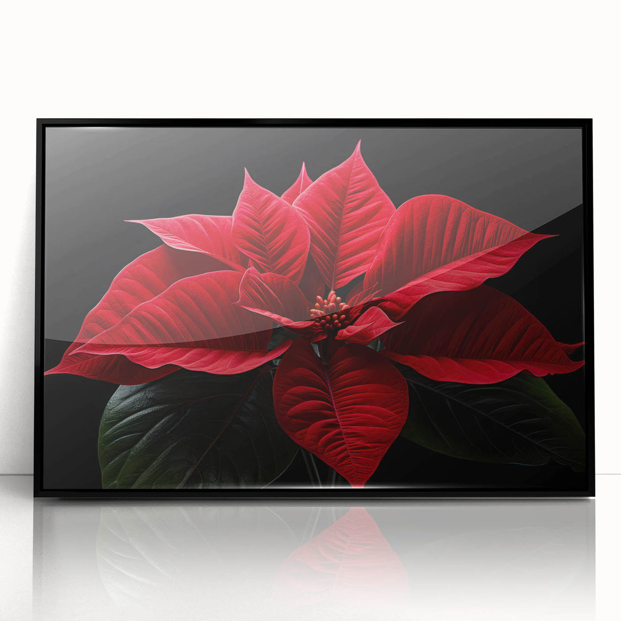 Framed acrylic wall art featuring a vibrant botanical design of poinsettias against a black background, perfect for enhancing modern decor with a touch of nature.