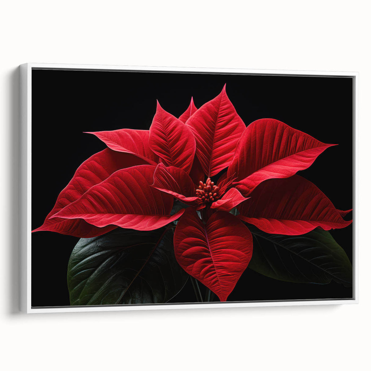 Framed canvas wall art featuring a botanical poinsettia design in vibrant red and green hues. The artwork is displayed in a stylish white frame, showcasing a side view that highlights its elegant presentation and intricate floral details, perfect for home decor enthusiasts.