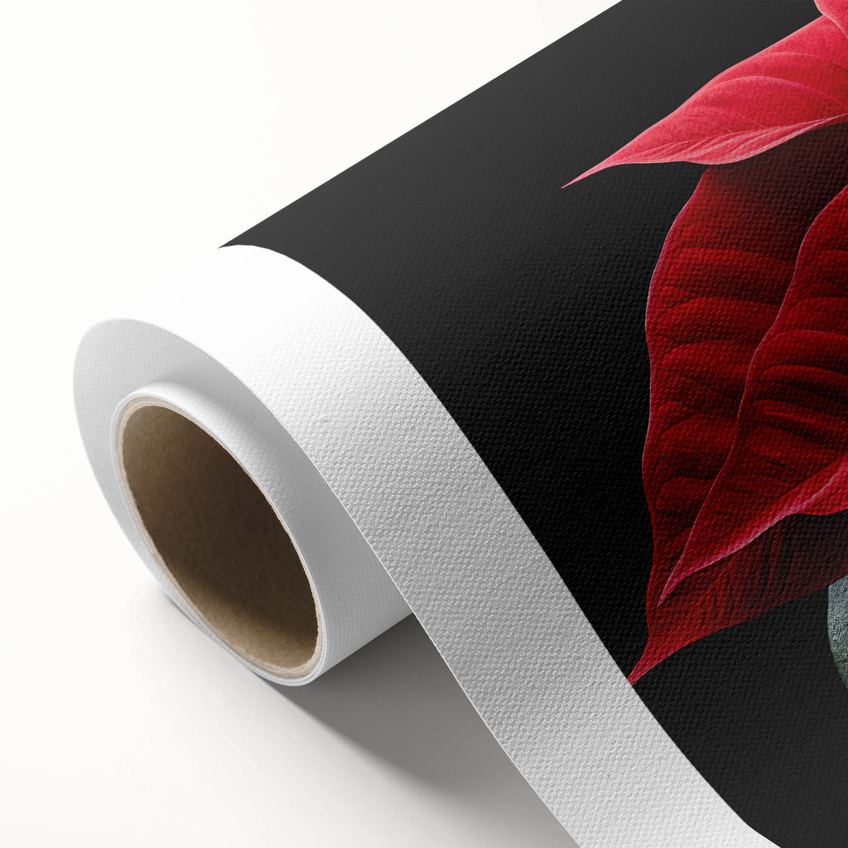 Vibrant rolled canvas print showcasing a detailed botanical design of a poinsettia, featuring rich red and green colors, perfect for holiday decor or floral art enthusiasts.