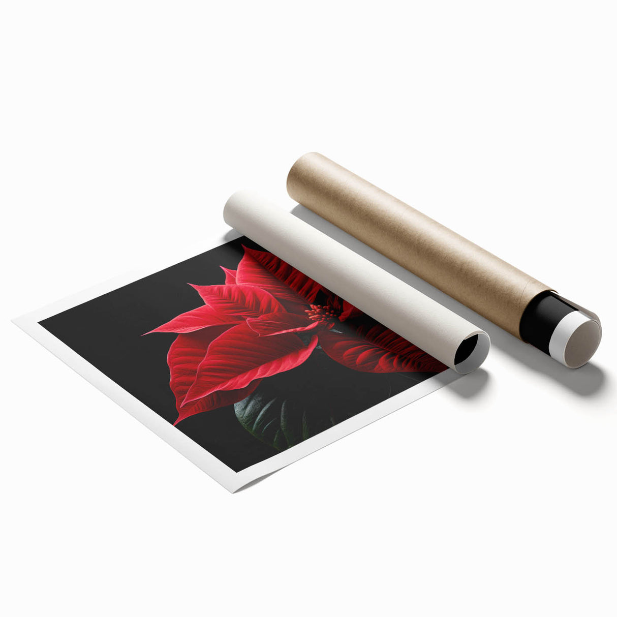 Vibrant botanical wall art print featuring a detailed red poinsettia design on a cream background, perfect for festive home decor. Ideal for enhancing seasonal interiors.