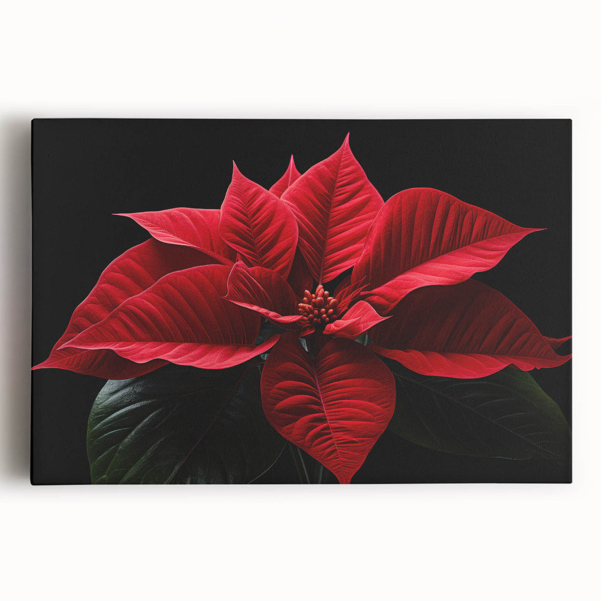 Stretched canvas wall art featuring an elegant botanical design of vibrant red poinsettias against a soft green background, ideal for holiday decor or floral enthusiasts.