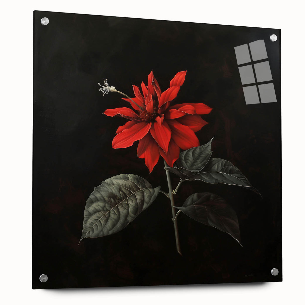 Elegant botanical poinsettia wall art design displayed in an acrylic glass frame, showcasing vibrant red and green colors. Ideal for home decor enhancement.