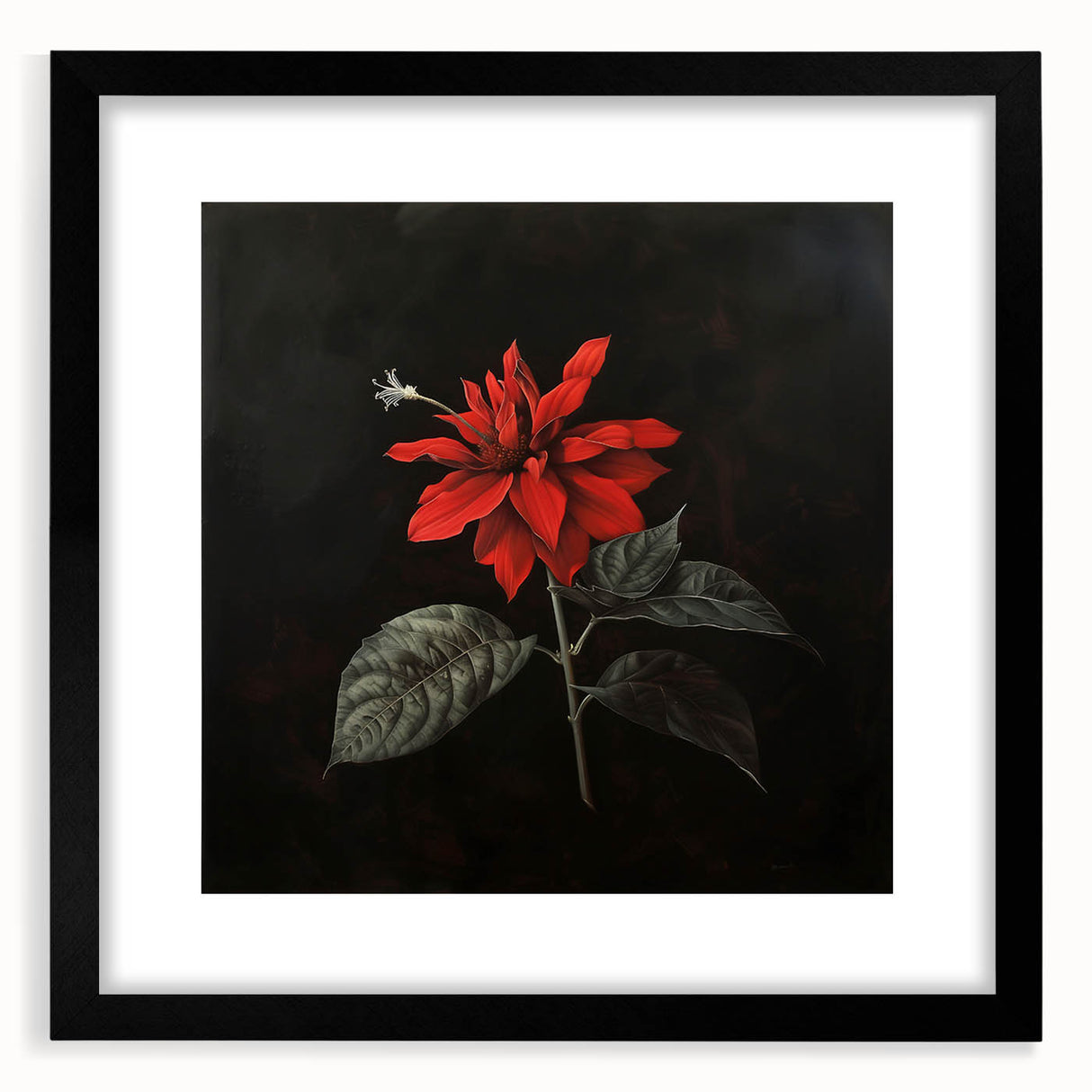 Elegant black-framed wall art featuring a botanical poinsettia design with intricate floral details, ideal for enhancing home decor and bringing nature indoors.